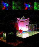 las vegas night club vip tours.